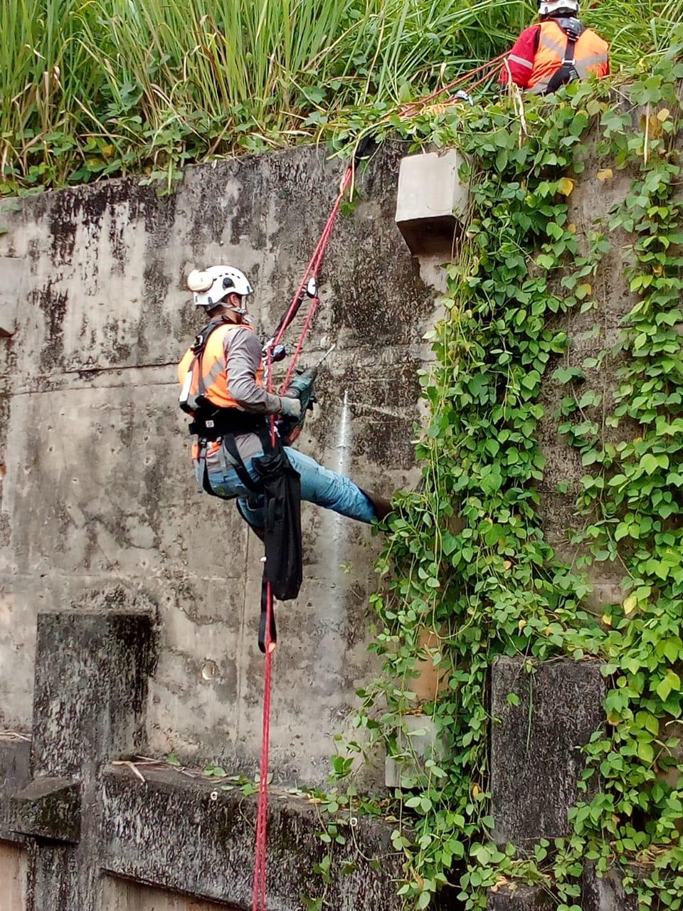 Instalação de Telas